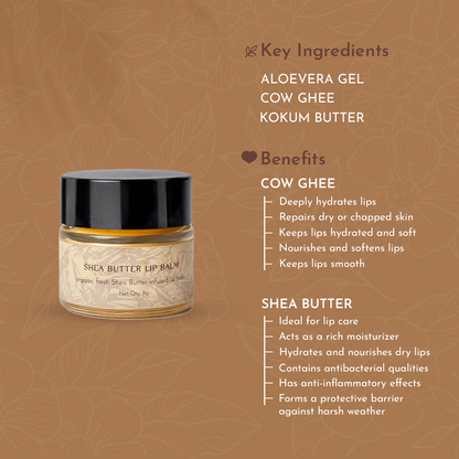 SHEA BUTTER LIP BALM